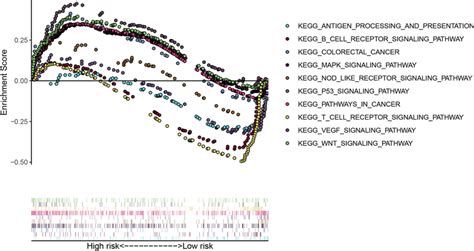 Gsea Enrichment Analysis Between The Low And High Risk Groups