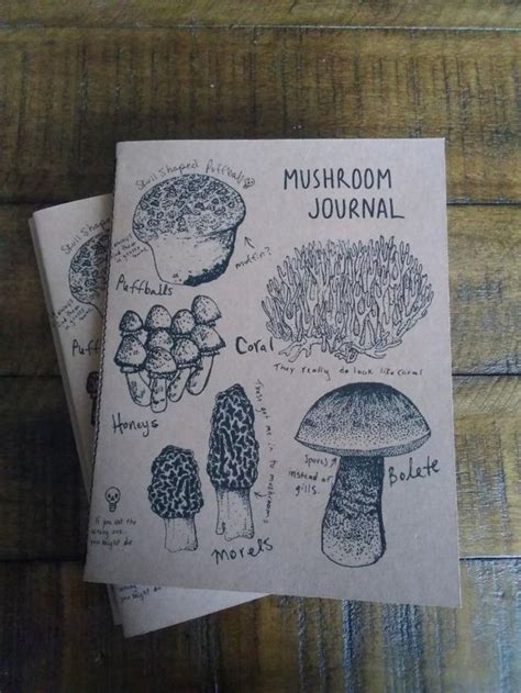 Mushroom Journal Foraging Field Guide Notes For Edible Etsy Zine