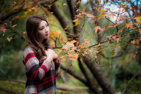 4k Autumn Asian Branches Brown Haired Hd Wallpaper Rare Gallery