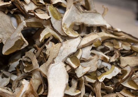 Dried White High Quality Porcini Mushrooms On Central Market In