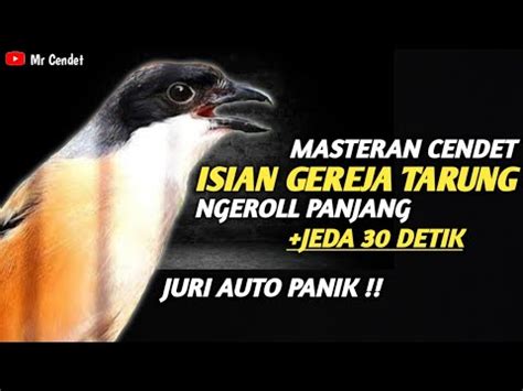 ASLI NGERIIII MASTERAN CENDET ISIAN GEREJA TARUNG NGEROLL PANJANG