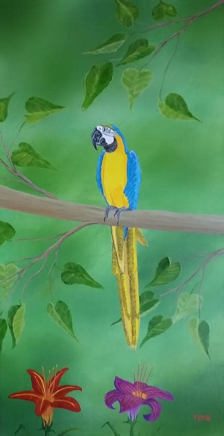 Blue And Yellow Macaw Painting By Tom Mulqueen Fine Art America