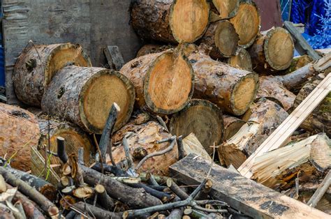 Premium Photo A Pile Of Wood In A Pile