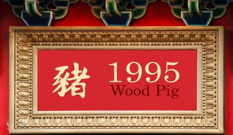 1995 Chinese Zodiac Wood Pig Year Personality Traits