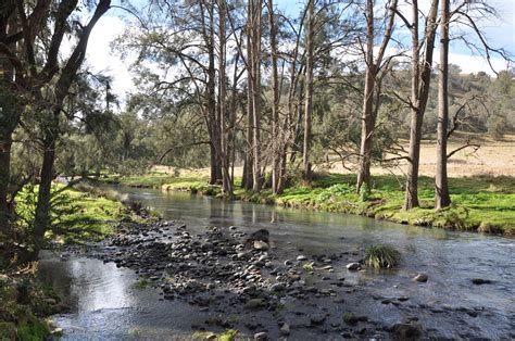 Coomoologue Stewarts Brook Rd Stewarts Brook Nsw 2337 Sold Rural