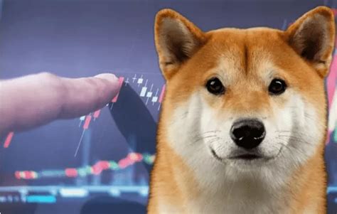 Shiba Inu Se Livrar Do Aperto De Baixa Enquanto Shib Visto Subindo