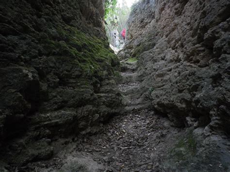 Ruta Cavanilles O Sendero De La Cortada 6 2 2016 ACCLIVIS