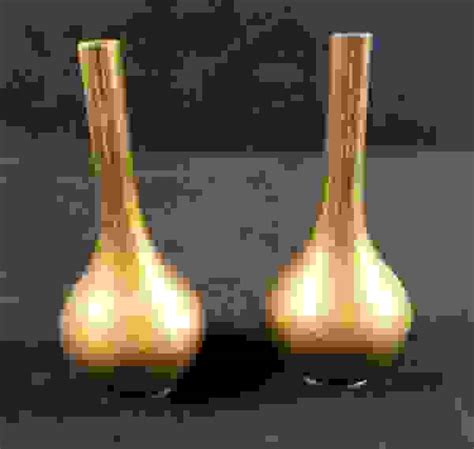 Two Vintage Indian Brass Bud Vases