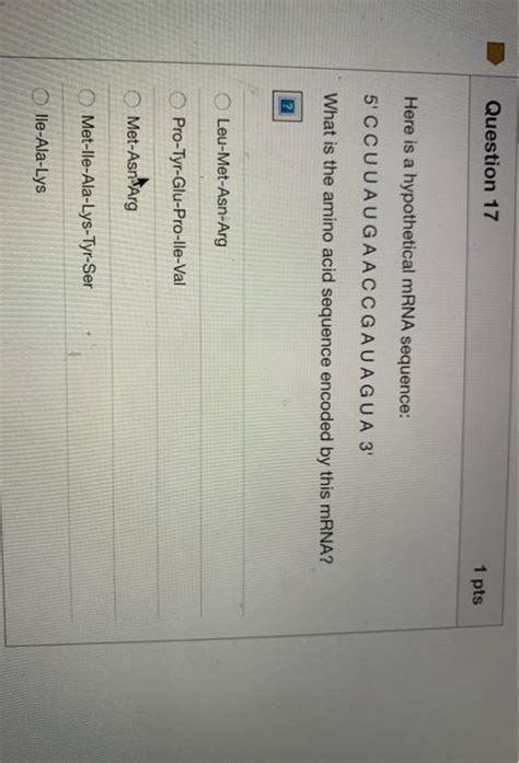 Solved Question 17 1 Pts Here Is A Hypothetical MRNA Chegg