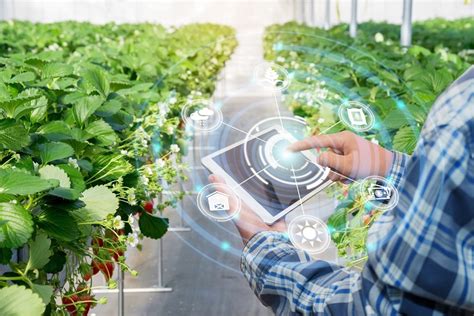 農業の自動化がもたらす未来とは？ 求められる技術も紹介 スマート農業dxのagrist株式会社