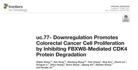 Uc Downregulation Promotes Colorectal Cancer Cell Proliferation By