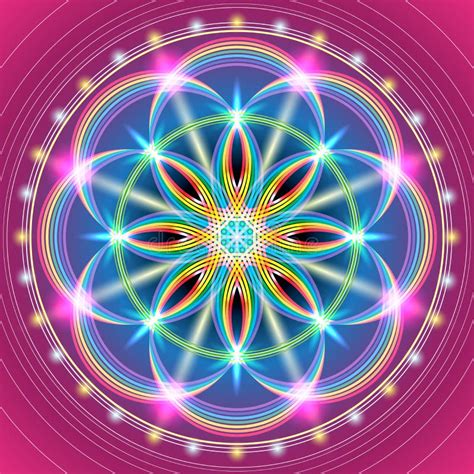 Sacred Geometry Flower Of Life Seed Stock Vector Illustration Of