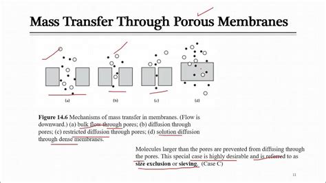 20210623 Lecture 34 Membrane Separation General Equation For Mass