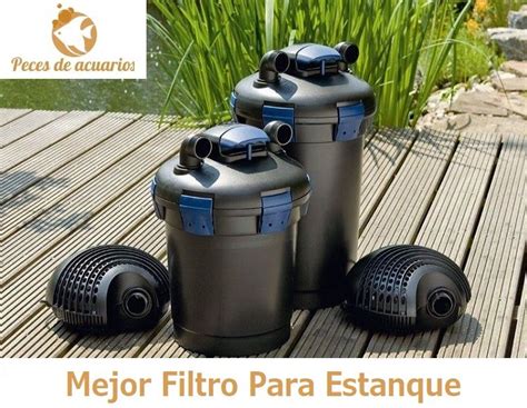 ⊛ Mejores Filtros Para Estanque 【 Guía Y Comparativa