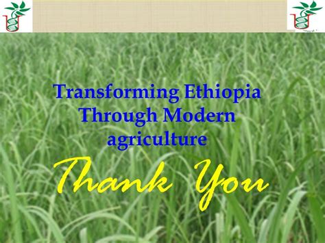 By Tsehaye Kidus Tigray Biotechnology Center PLC February 26 2020