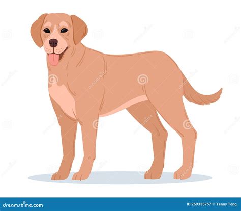 Cartoon Labrador Retriever Vector On Blue Background Royalty Free Stock