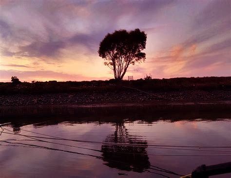 reflectionvertical thoughts