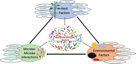 Plant Microbiomes Microbiomes Health And The Environment