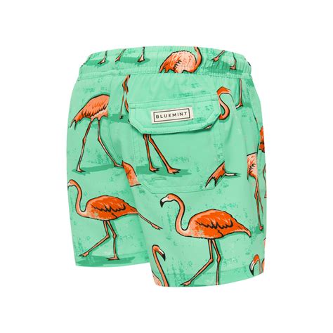 Bluemint Arthus Boy Stretch The Flamingo Swimwear