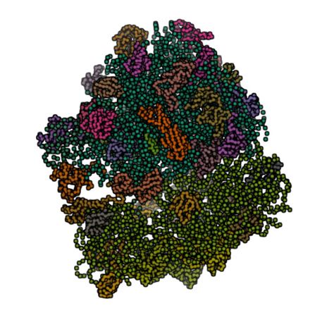 RCSB PDB 4V48 Real Space Refined Coordinates Of The 30S And 50S