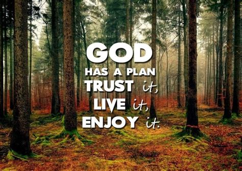 8 Bible Verses About Gods Plan For Us His Will Be Done Christian Walls