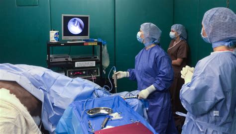 Equine Surgery And Medicine Hook Norton Equine Vets