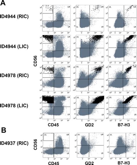 Multiparametric Flow Cytometry Highlights B7 H3 As A Novel Diagnostic