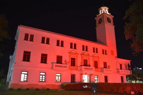 Casa De Gobierno Se Vistió De Color En El Día Mundial De Las Cardiopatías Congénitas Santiago