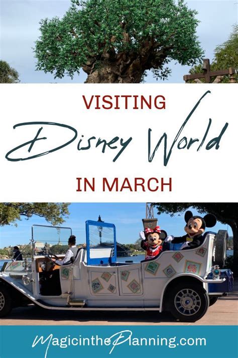 Visiting Walt Disney World In March Artofit