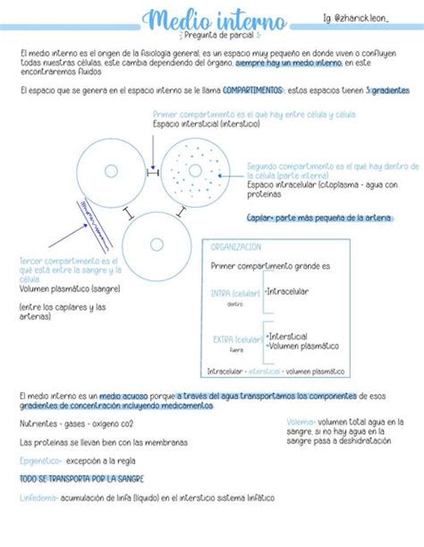 Medio interno Fisiología Zharick leon uDocz