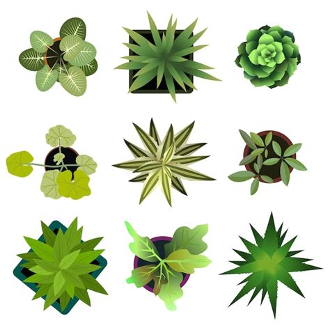 Premium Vector Top View Plants Easy Copy Paste In Your Landscape