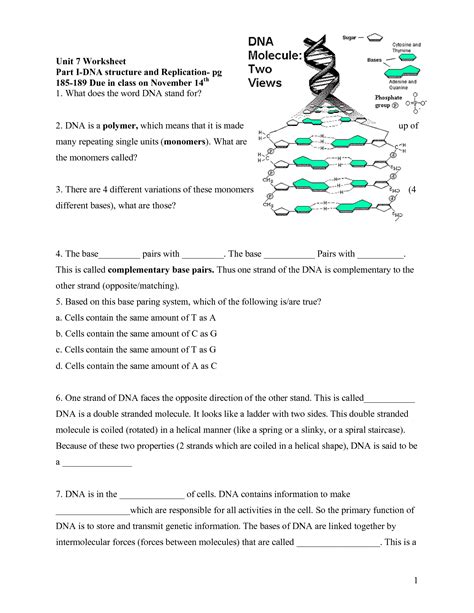 Dna To Protein Worksheet