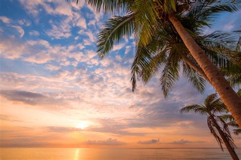 Paisaje Marino De La Hermosa Playa Tropical Con Palmeras Al Amanecer