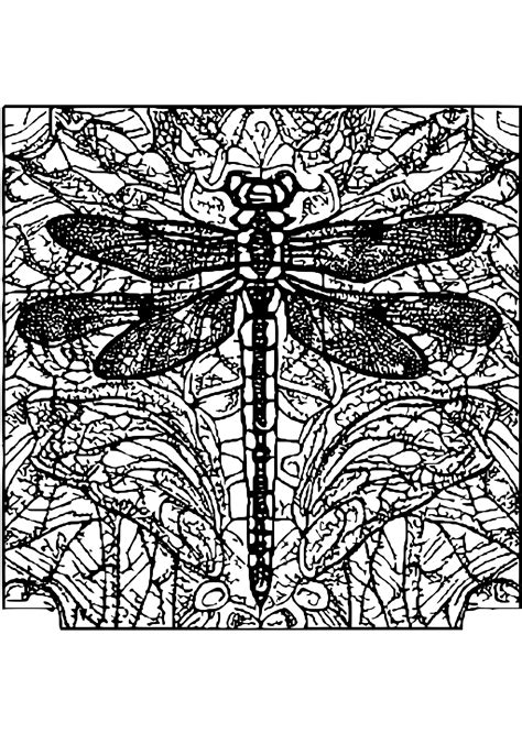 Intricate Dragonfly Coloring Page · Creative Fabrica