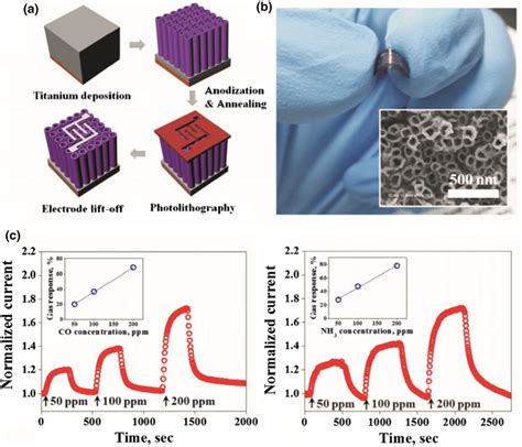 A Schematic Of The Flexible Gas Sensors Fabrication Process Together