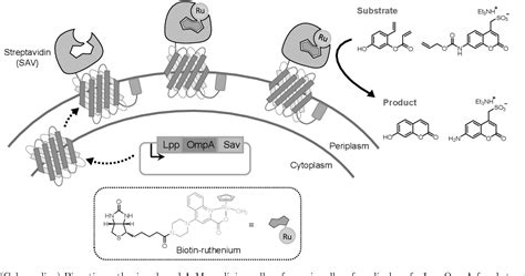 Figure 1 From Unlocking The Therapeutic Potential Of Artificial