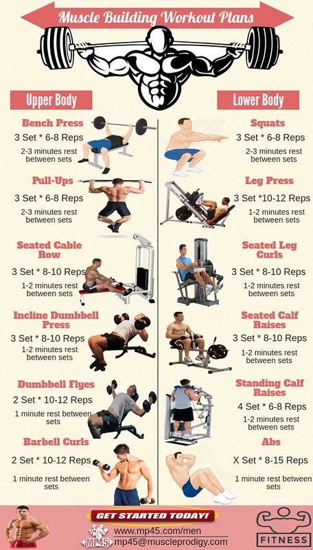 Best Mass Building Workout Programs - WorkoutWalls