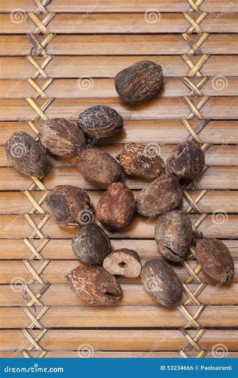 Shea Nuts Near Butter On White Background Stock Photo Image Of White