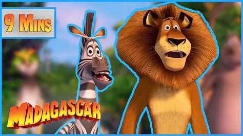 Alex And Martys Bromance 🦁🦓 Madagascar Mini Moments Youtube