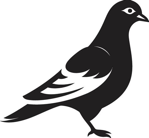 Pigeon Artistry A Collection Of Vector Masterpieces Pigeon Vector