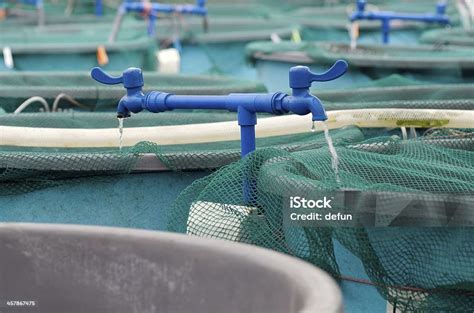 Agriculture Aquaculture Water System Farm Stock Photo Download Image