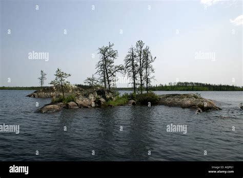 Manitoba Lake Island Trees Stock Photo Alamy