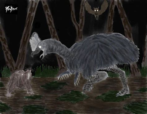 Predatory Cassowary Hunting In The Darkness Of Night Speculativeevolution Cassowary Weta