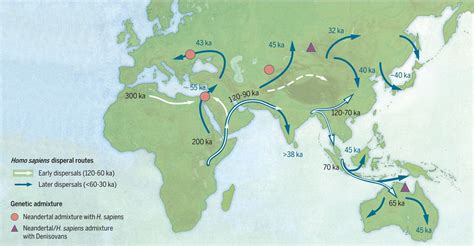 la siempre intrigante dispersion de homo sapiens perspectivas actuales