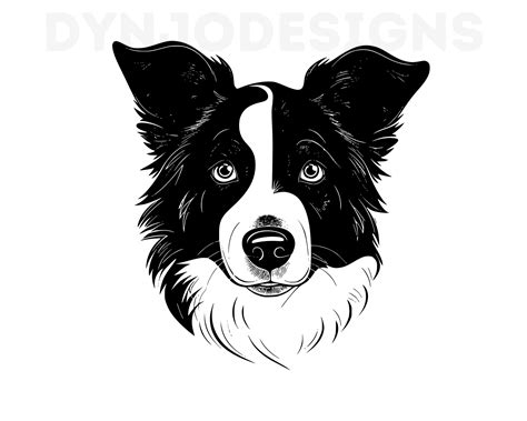 Border Collie Svg Border Collie Clipart Border Collie Png Etsy