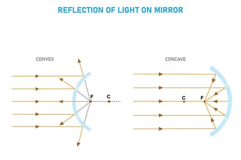 light refractionconvex andconcave lenses  vector art  vecteezy