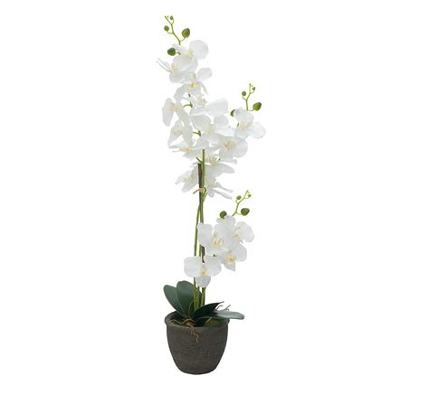 Orchidée Artificielle Luxe Pourpre 57cm Floranet