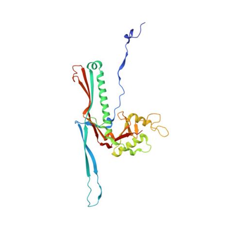 RCSB PDB 1OHG STRUCTURE OF THE DSDNA BACTERIOPHAGE HK97 MATURE EMPTY
