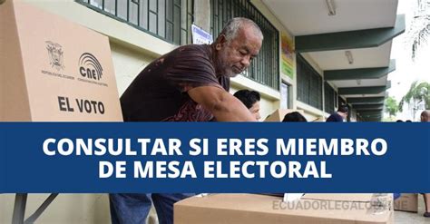 Consultar Si Estoy En La Mesa Electoral Cne Ecuador 2025