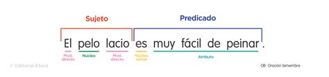 Núcleo del sujeto identificación modificadores y ejemplos